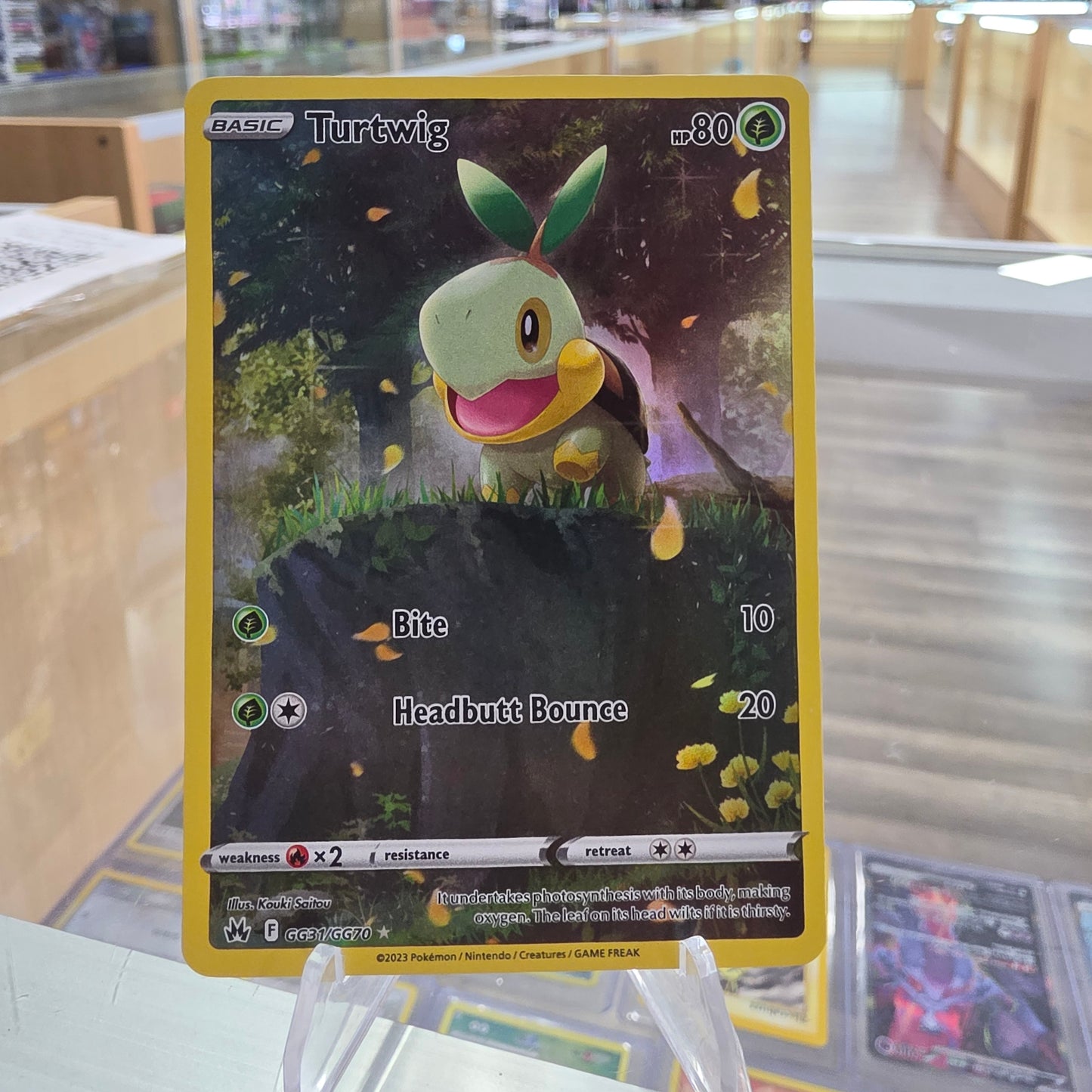 Turtwig - SWSH: Crown Zenith: Galarian Gallery (NM)