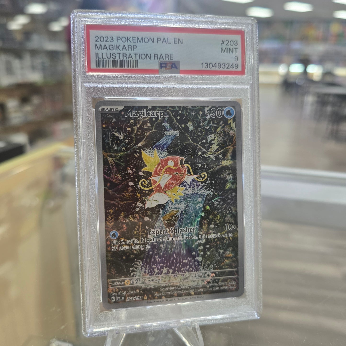 Magikarp - 203/193 - SV02: Paldea Evolved PSA 9