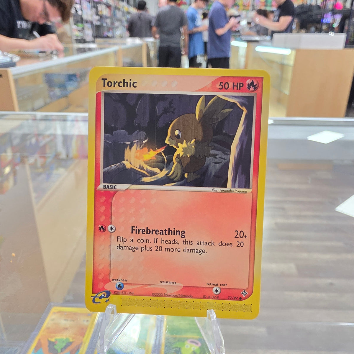 (NM) Torchic - EX Dragon