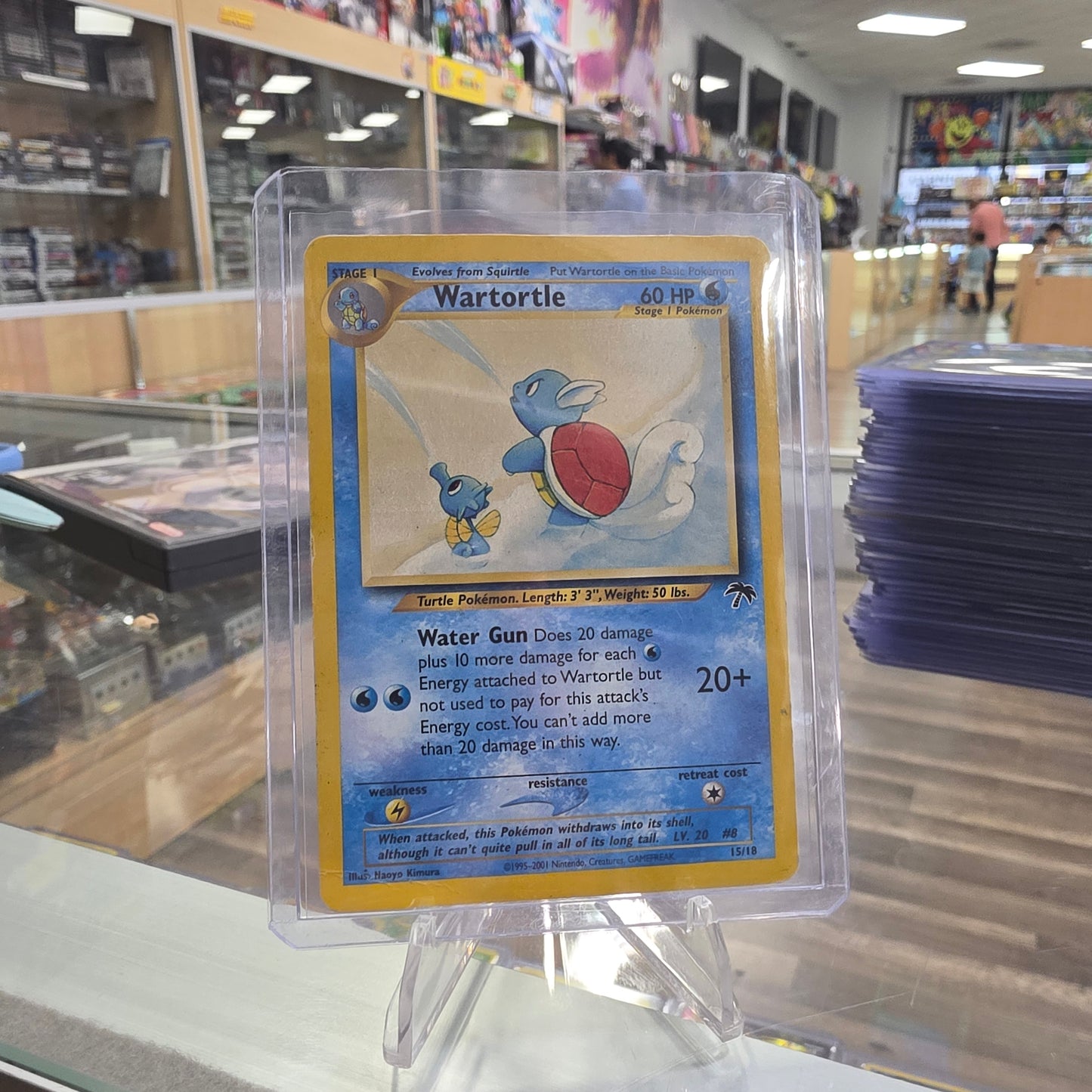 Wartortle - Southern Islands (HP)