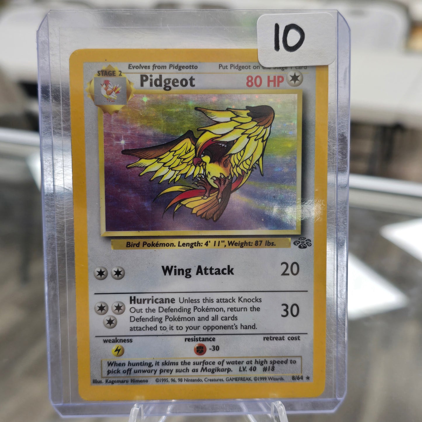Pidgeot (8) - Jungle (HP)