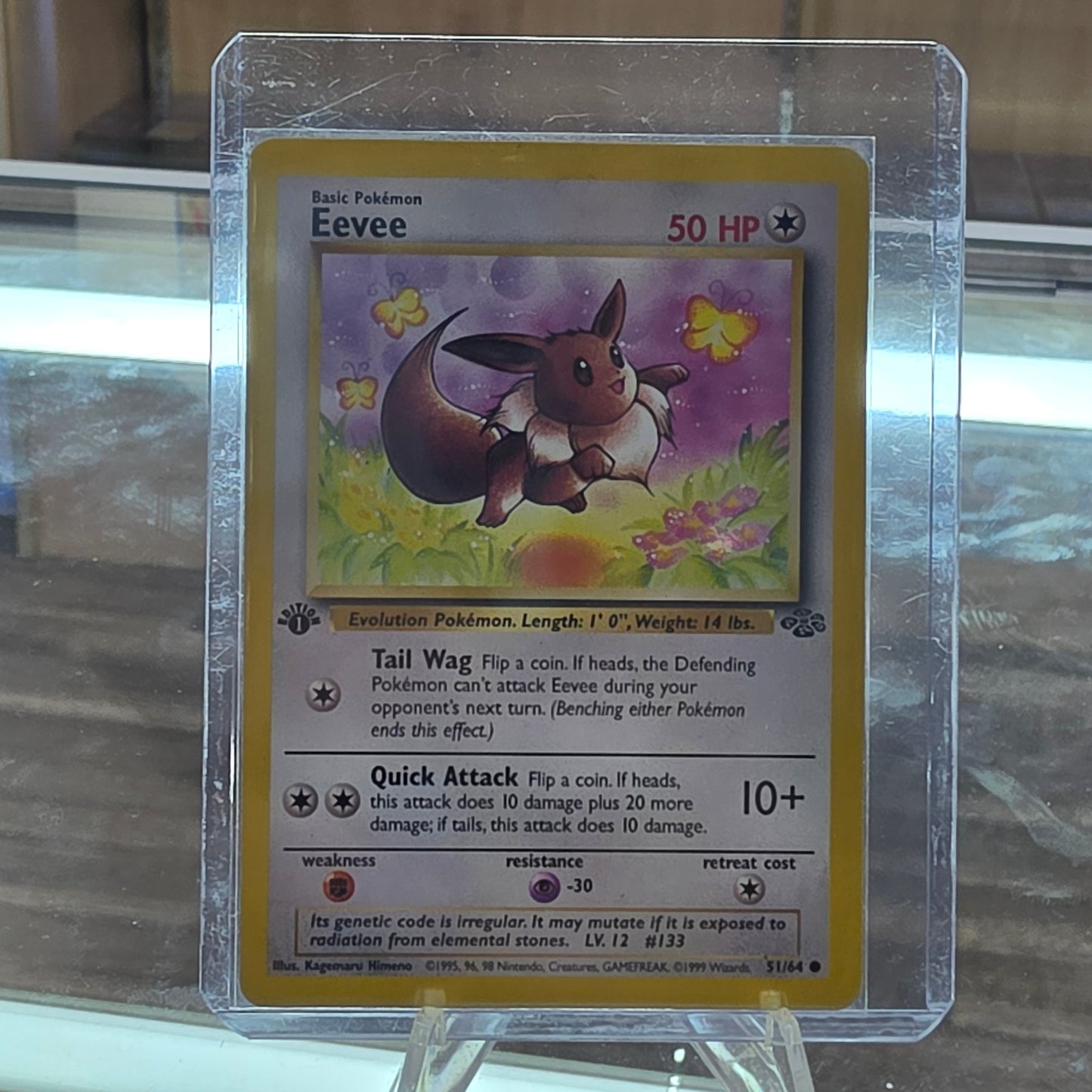 (NM) Eevee - Jungle 1st Edition