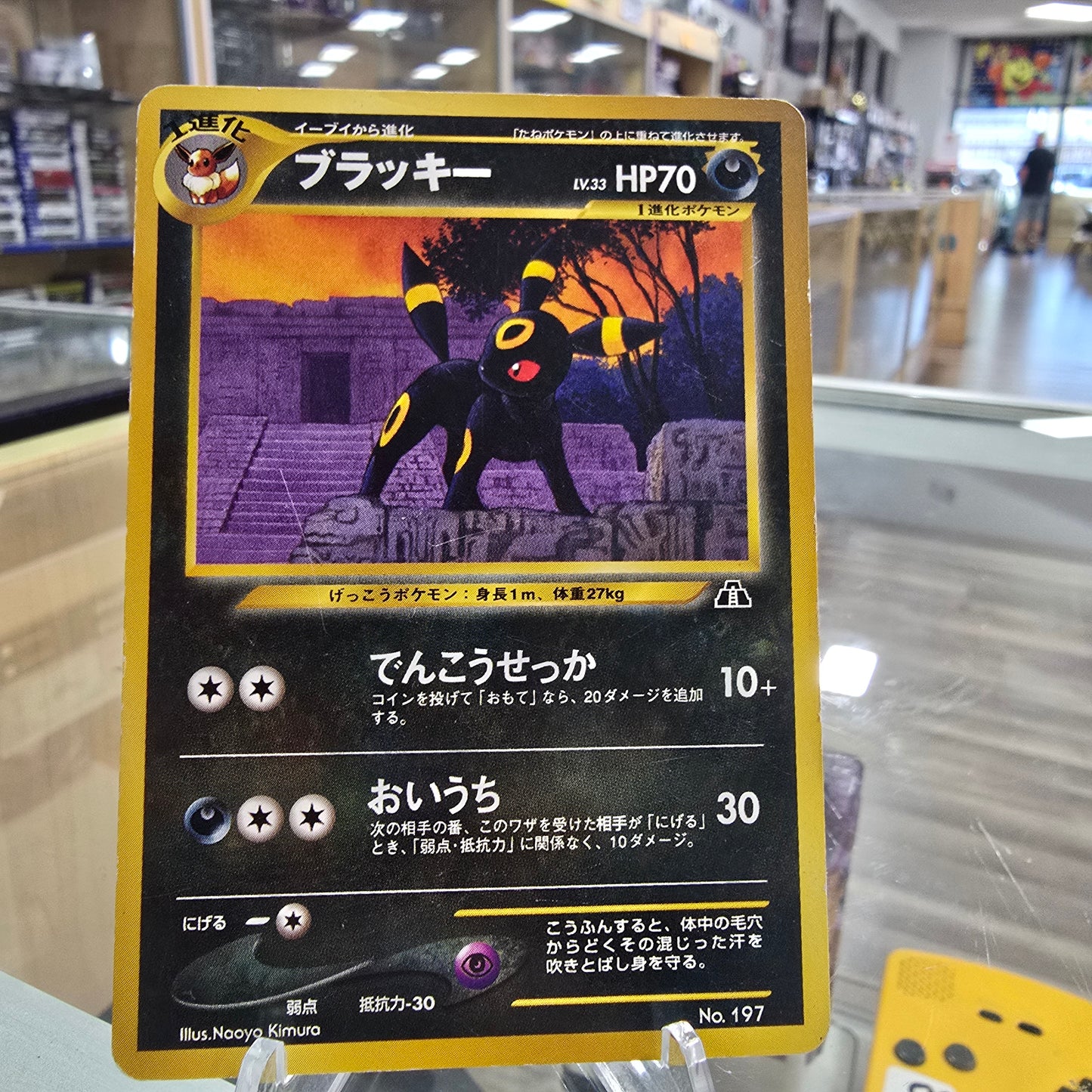 Umbreon - Neo Premium File 2 (MP)