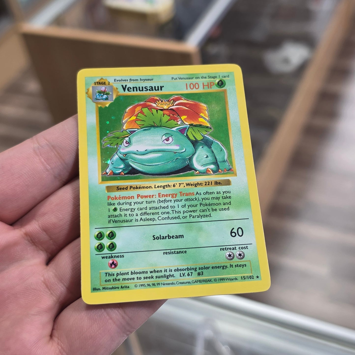 Venusaur - Base Set (Shadowless) (NM)