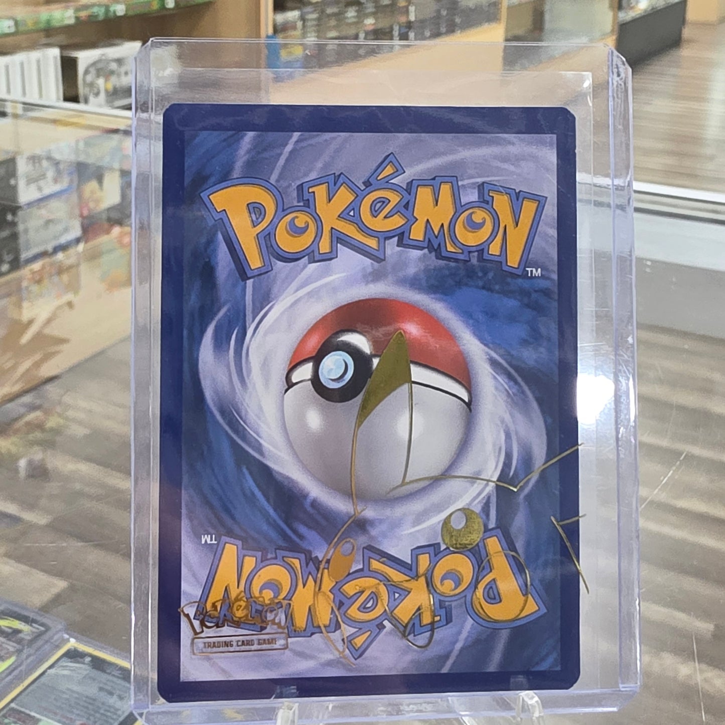 Charizard V - SWSH260 - SWSH: Sword & Shield Promo Cards (NM)