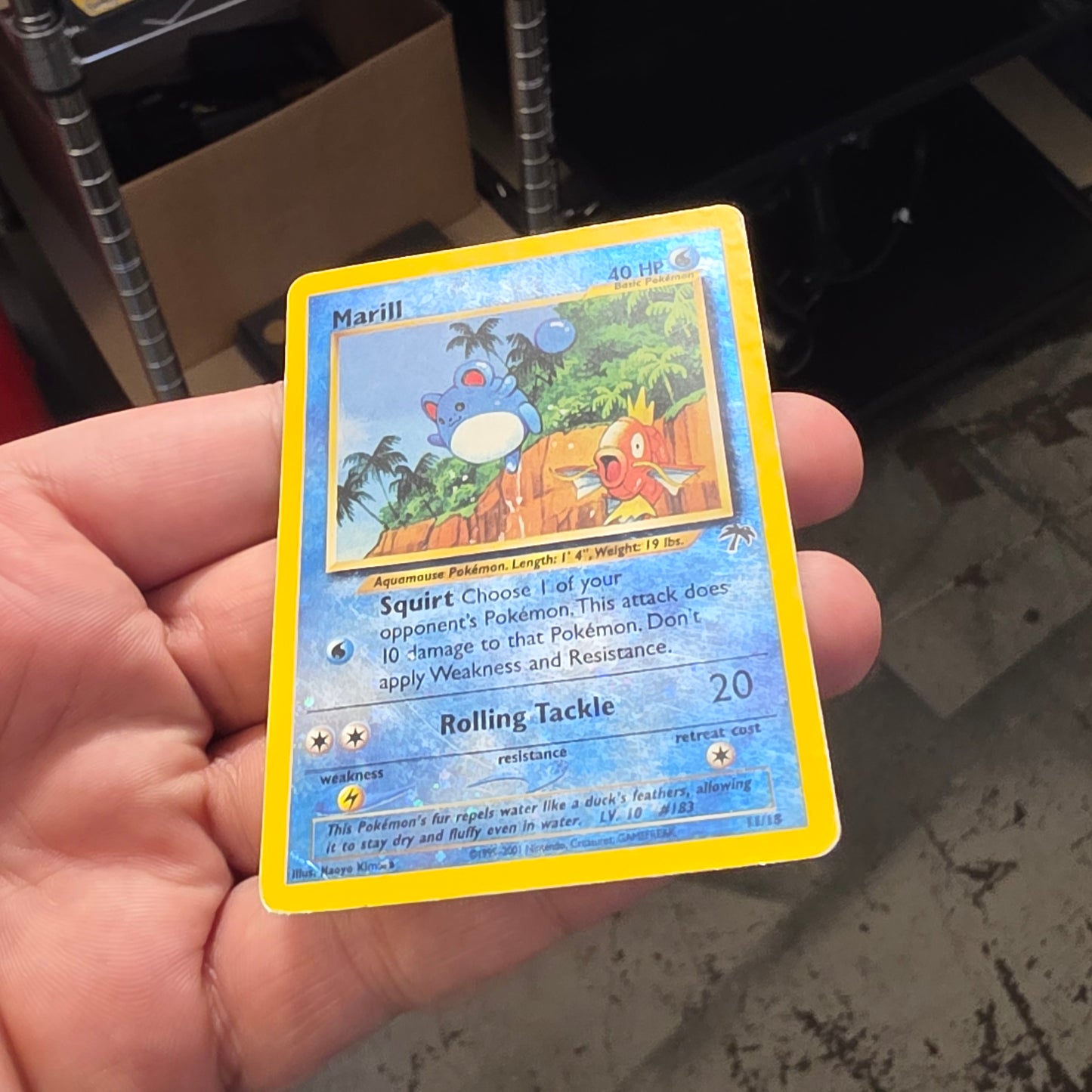 Southern Islands Set (15/18) English Pokemon Cards Check photos for condition)