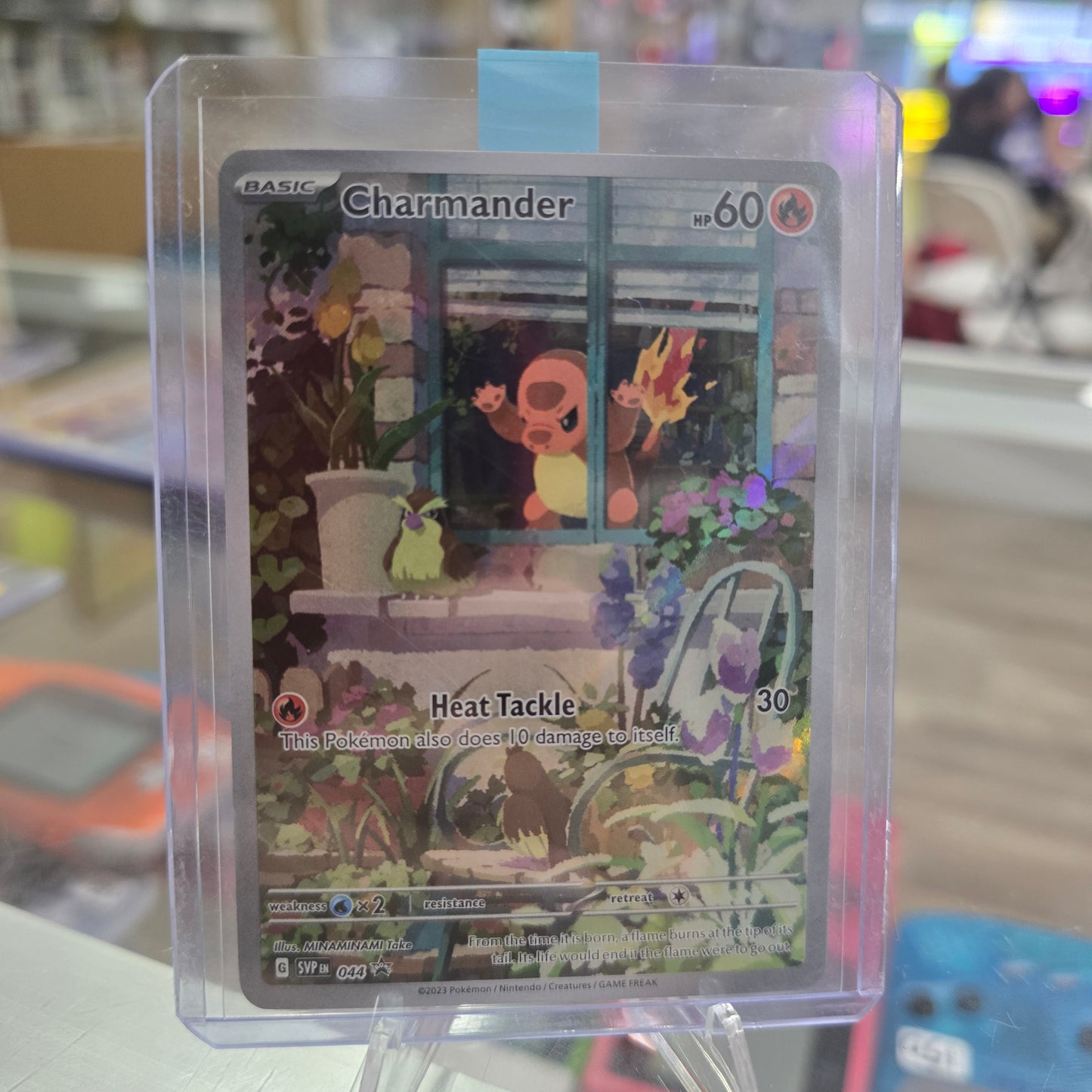 Charmander - 044 - SV: Scarlet & Violet Promo Cards (NM)
