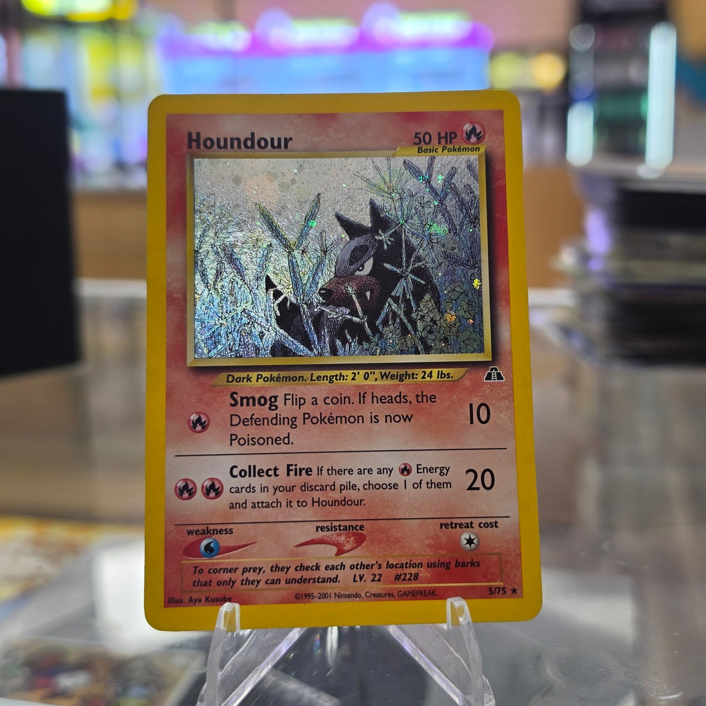 Houndour (5) - Neo Discovery (LP)