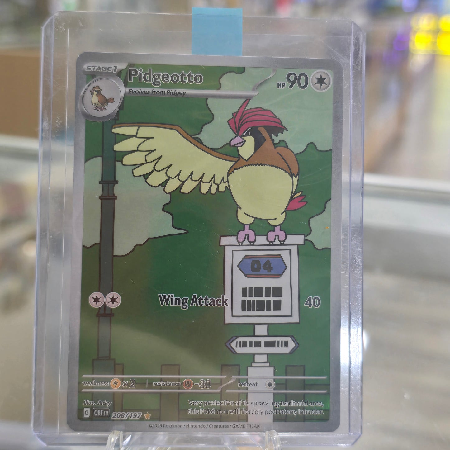 Pidgeotto - 208/197 - SV03: Obsidian Flames (NM)