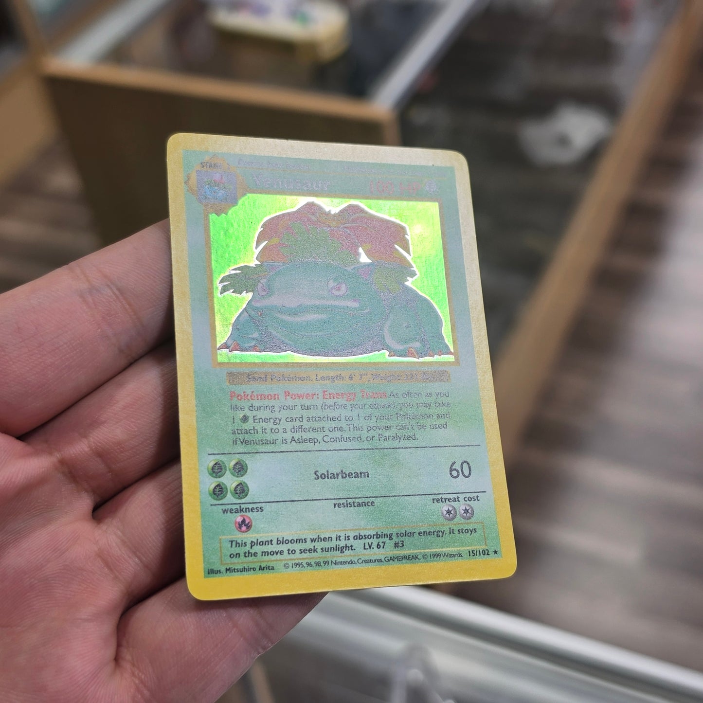 Venusaur - Base Set (Shadowless) (NM)