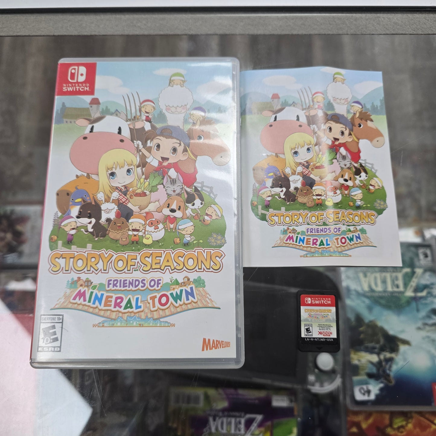 Story of Seasons: Friends of Mineral Town Nintendo Switch