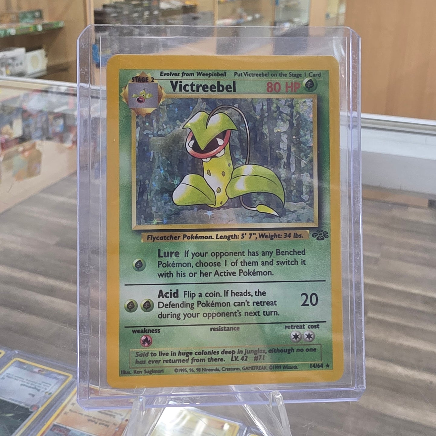Victreebel (14) - Jungle (MP)