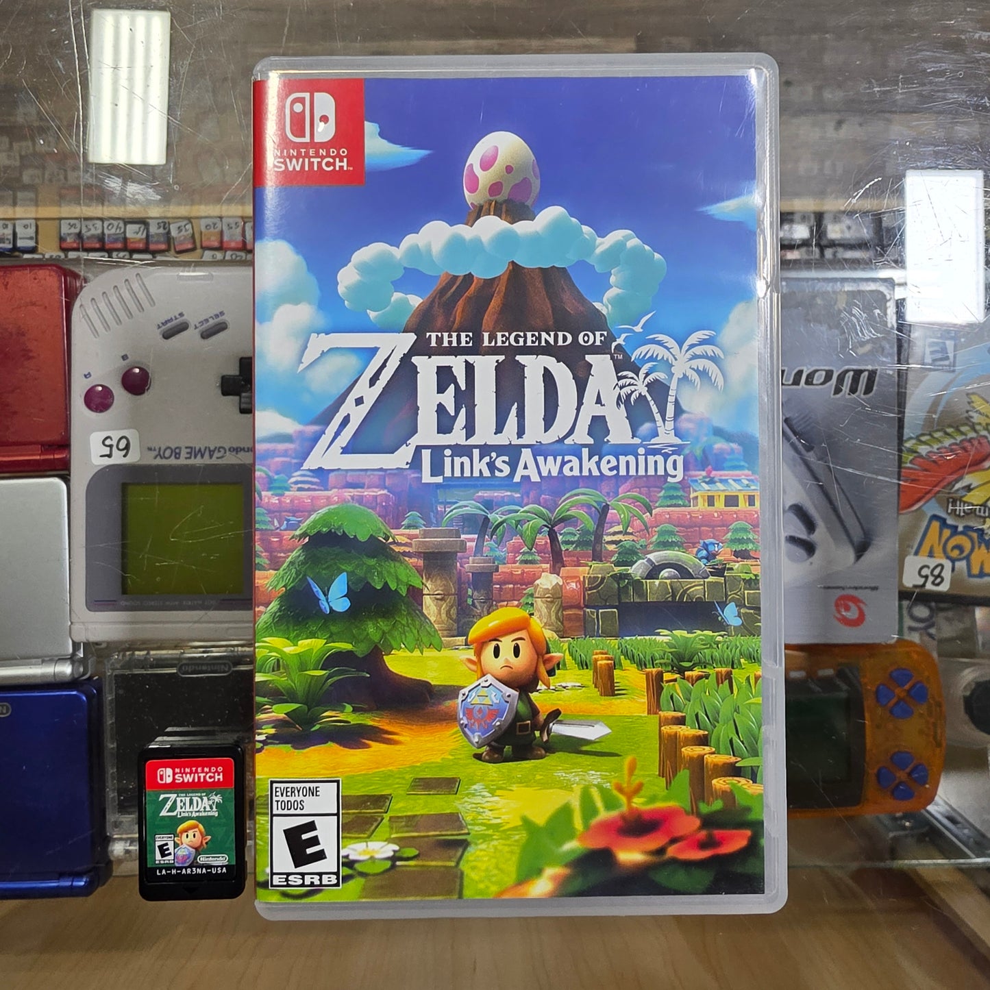 Zelda Link's Awakening Nintendo Switch
