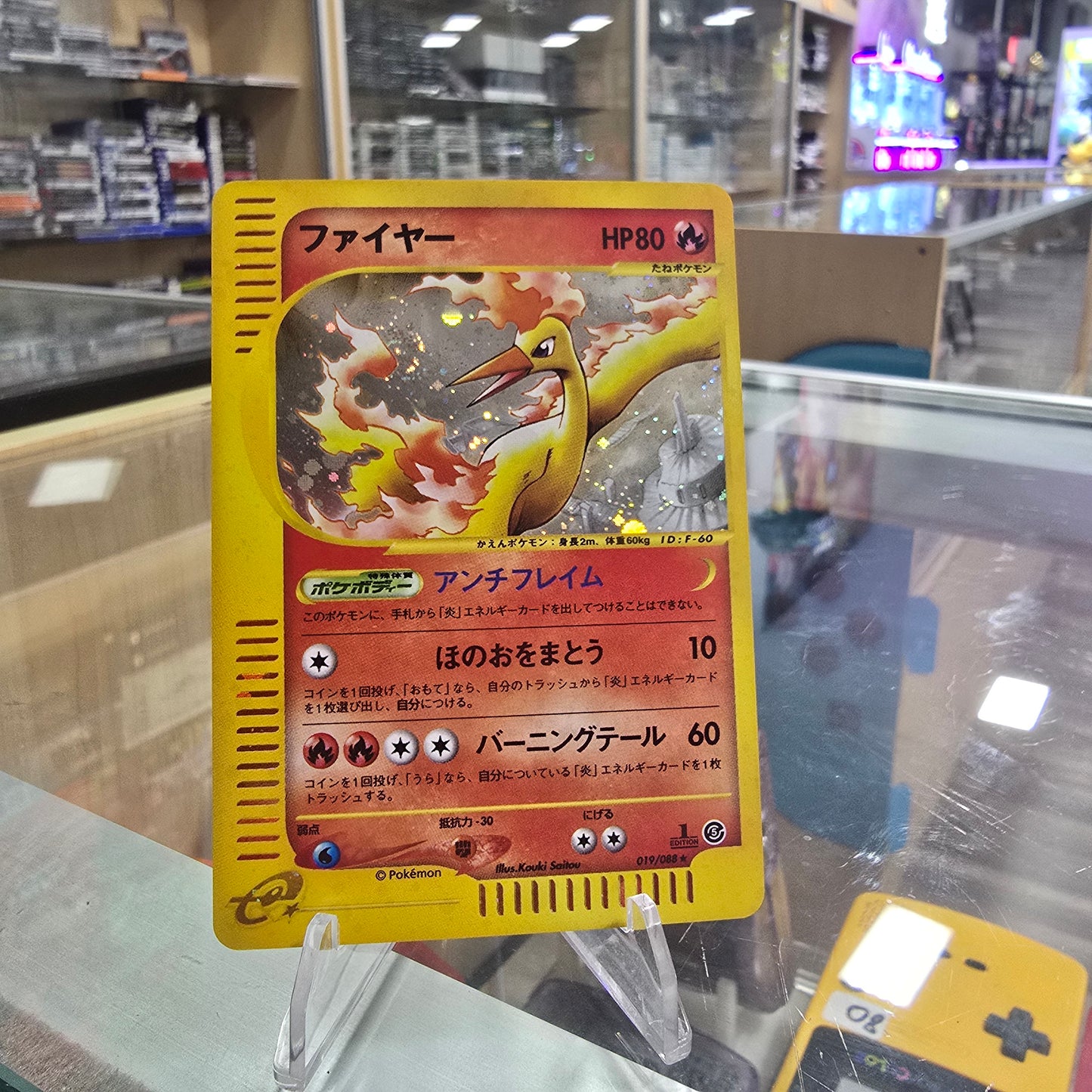 Moltres - 019/088 - Mysterious Mountains HOLO 1st Edition (LP)