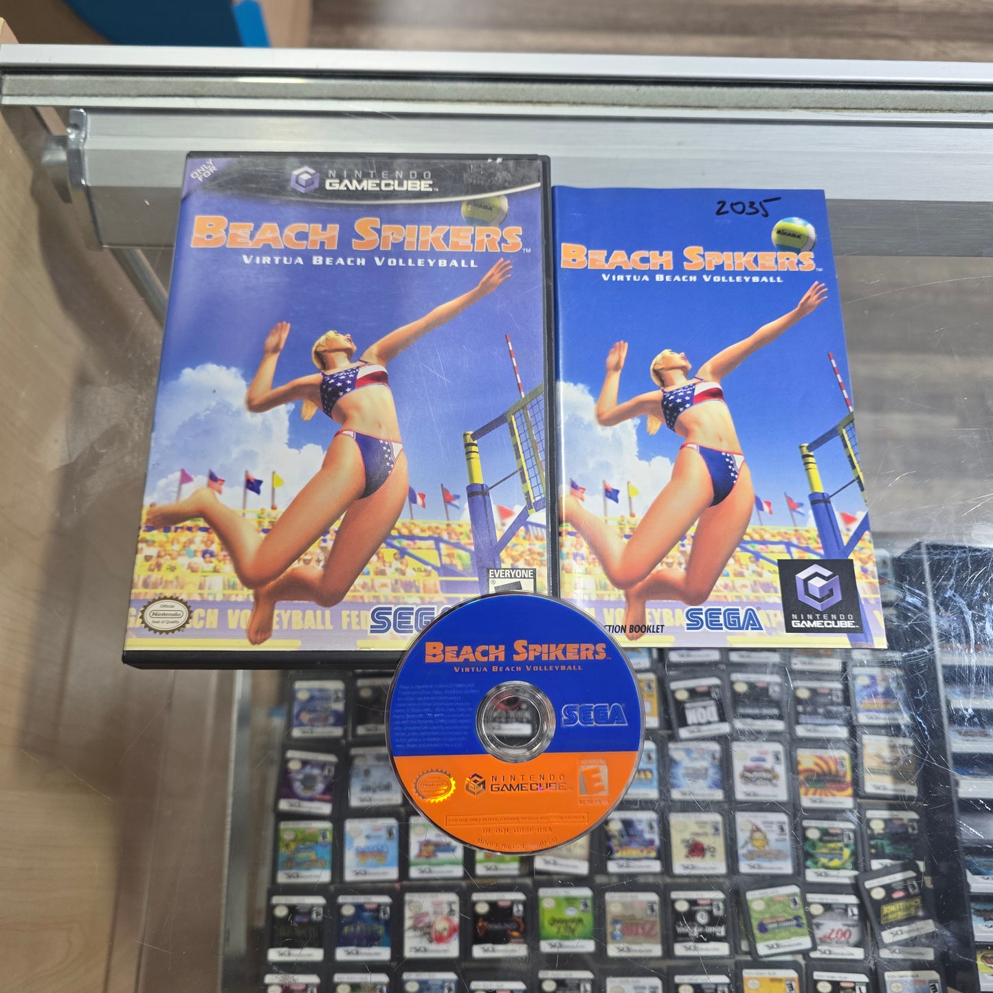 Beach Spikers Nintendo GameCube