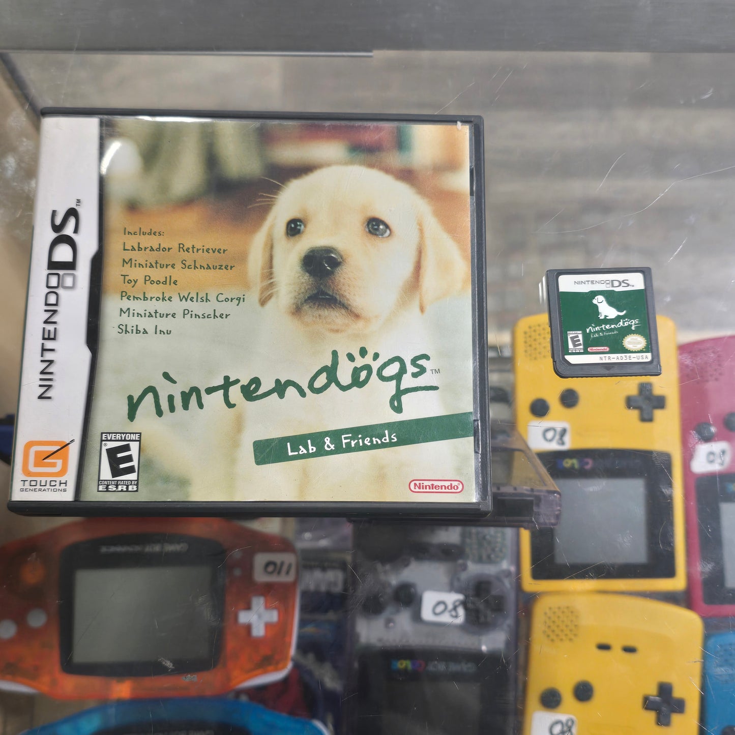 Nintendogs Lab and Friends Nintendo DS