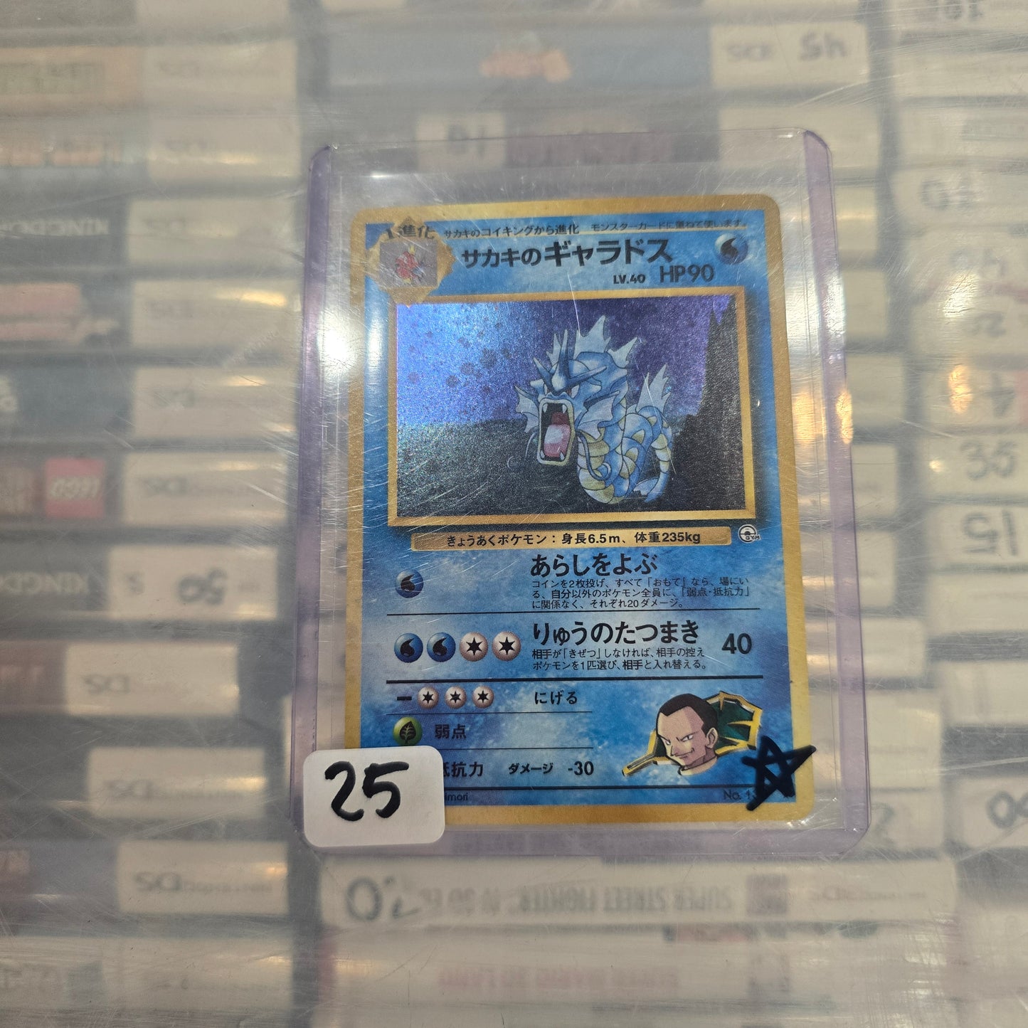 Giovanni's Gyarados - Challenge from the Darkness (LP)